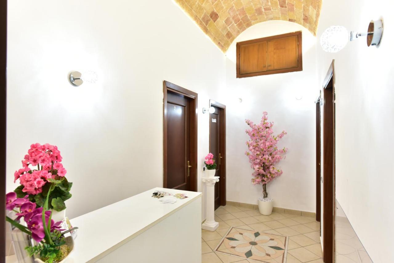 Terminal House Roma
